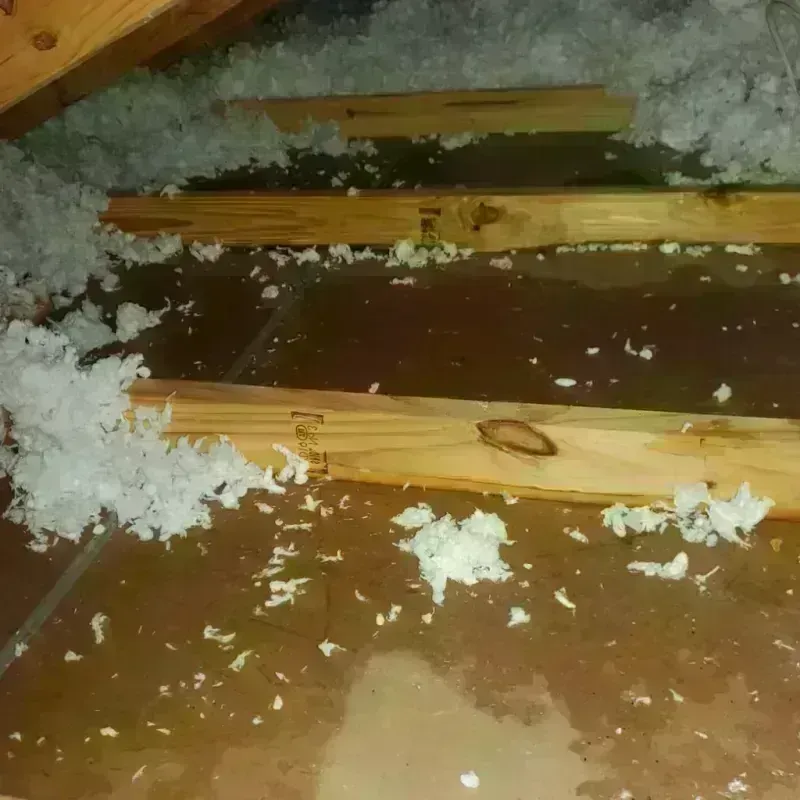 Attic Water Damage in Corpus Christi, TX