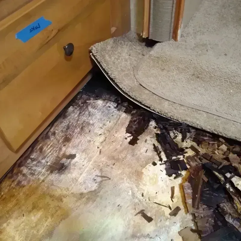 Wood Floor Water Damage in Corpus Christi, TX